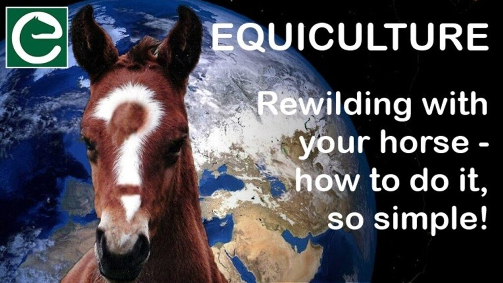 Dit blog; rewilden met je paard-hoe het moet, zo simpel! is vertaald van een blog van Equiculture van Jane en Stuart Myers.