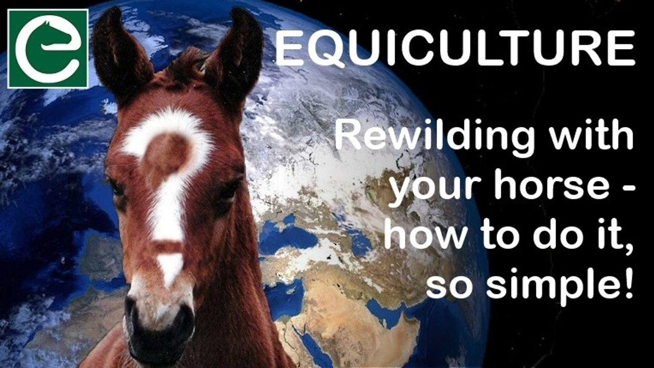 Dit blog; rewilden met je paard-hoe het moet, zo simpel!  is vertaald van een blog van Equiculture van Jane en Stuart Myers.